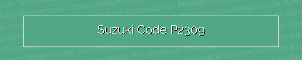 suzuki code p2309